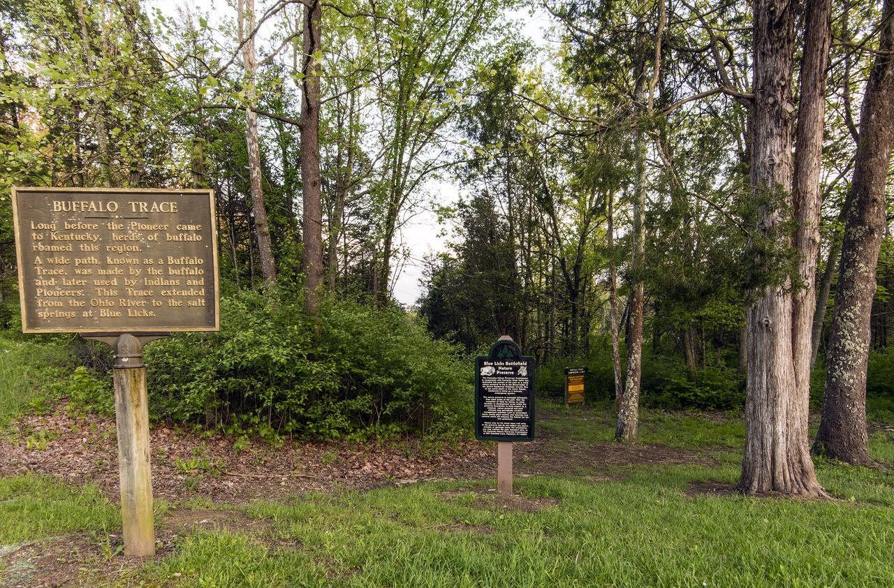 Blue Licks Battlefield State Park Carlisle Exterior foto